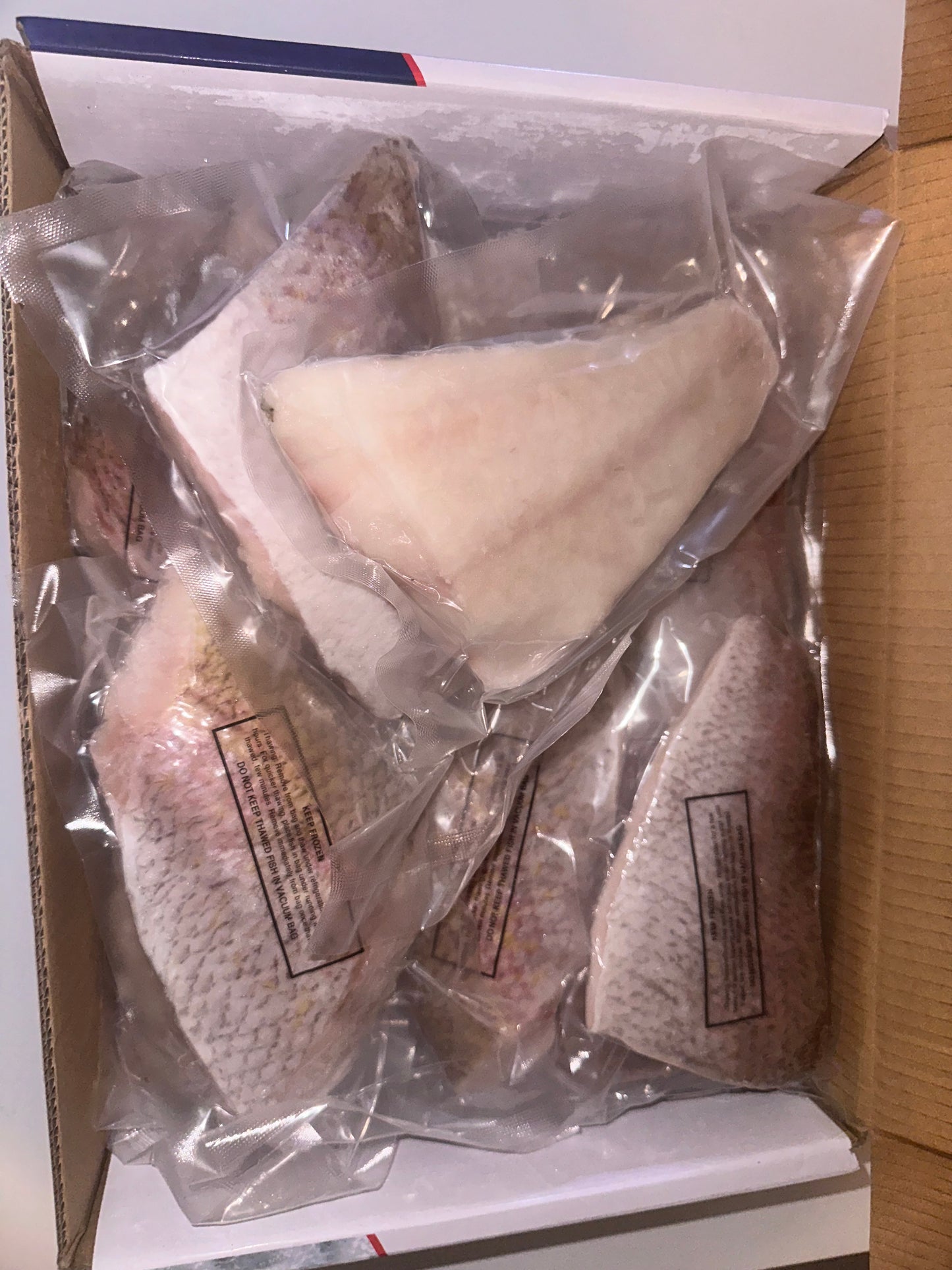 King Snapper